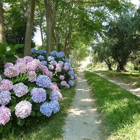 Apartman La Casa Di Gilda Gizzeria