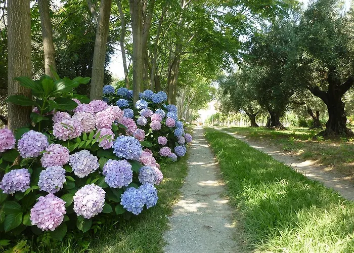 公寓 La Casa Di Gilda 吉泽利亚